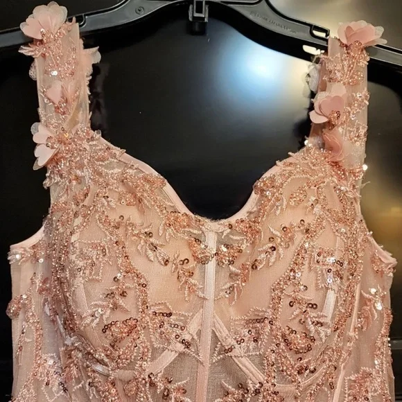 Cinderella Divine blush pink dress/gown - Picture 5 of 7